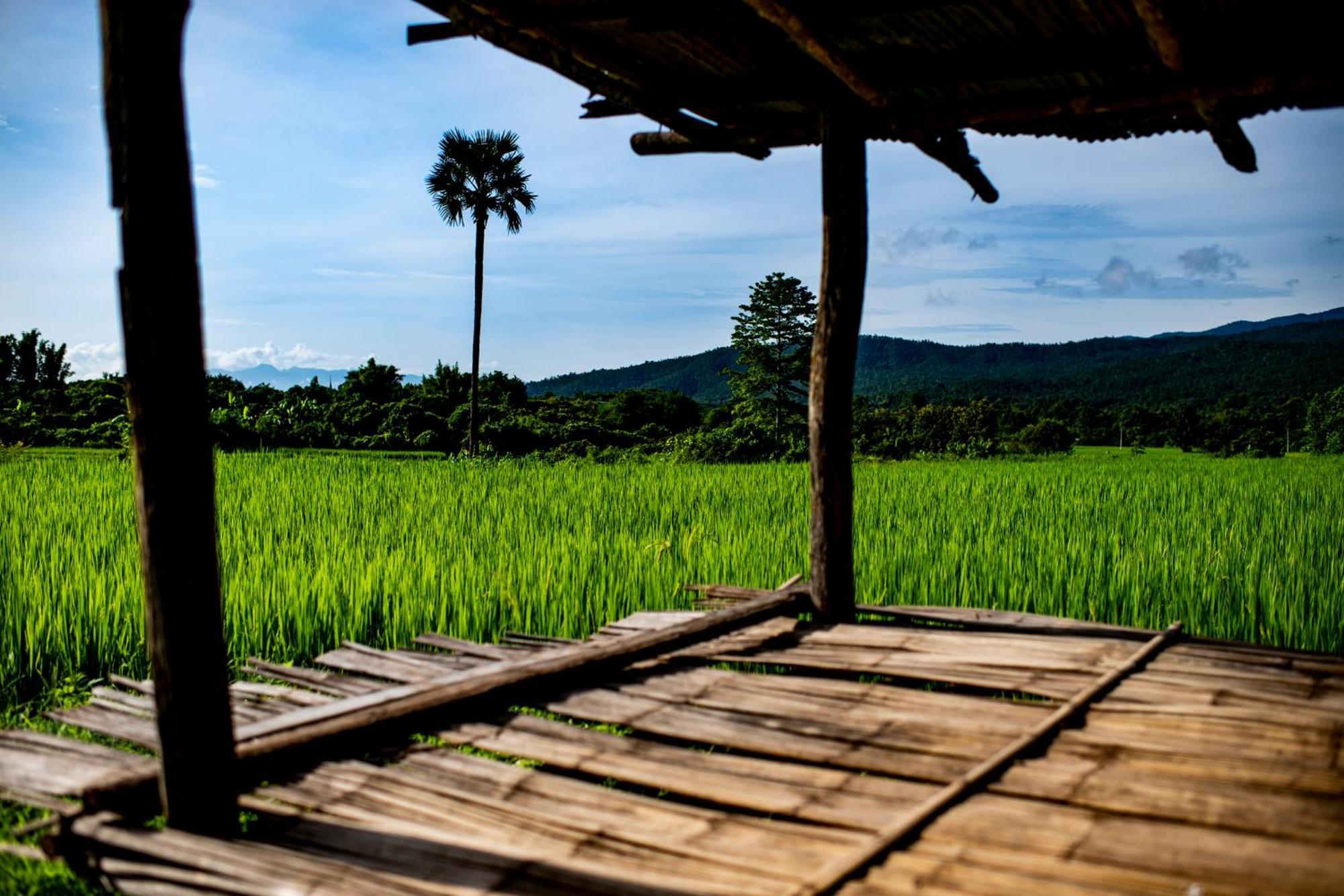 Suan Sook Homestay تشوم تونغ المظهر الخارجي الصورة