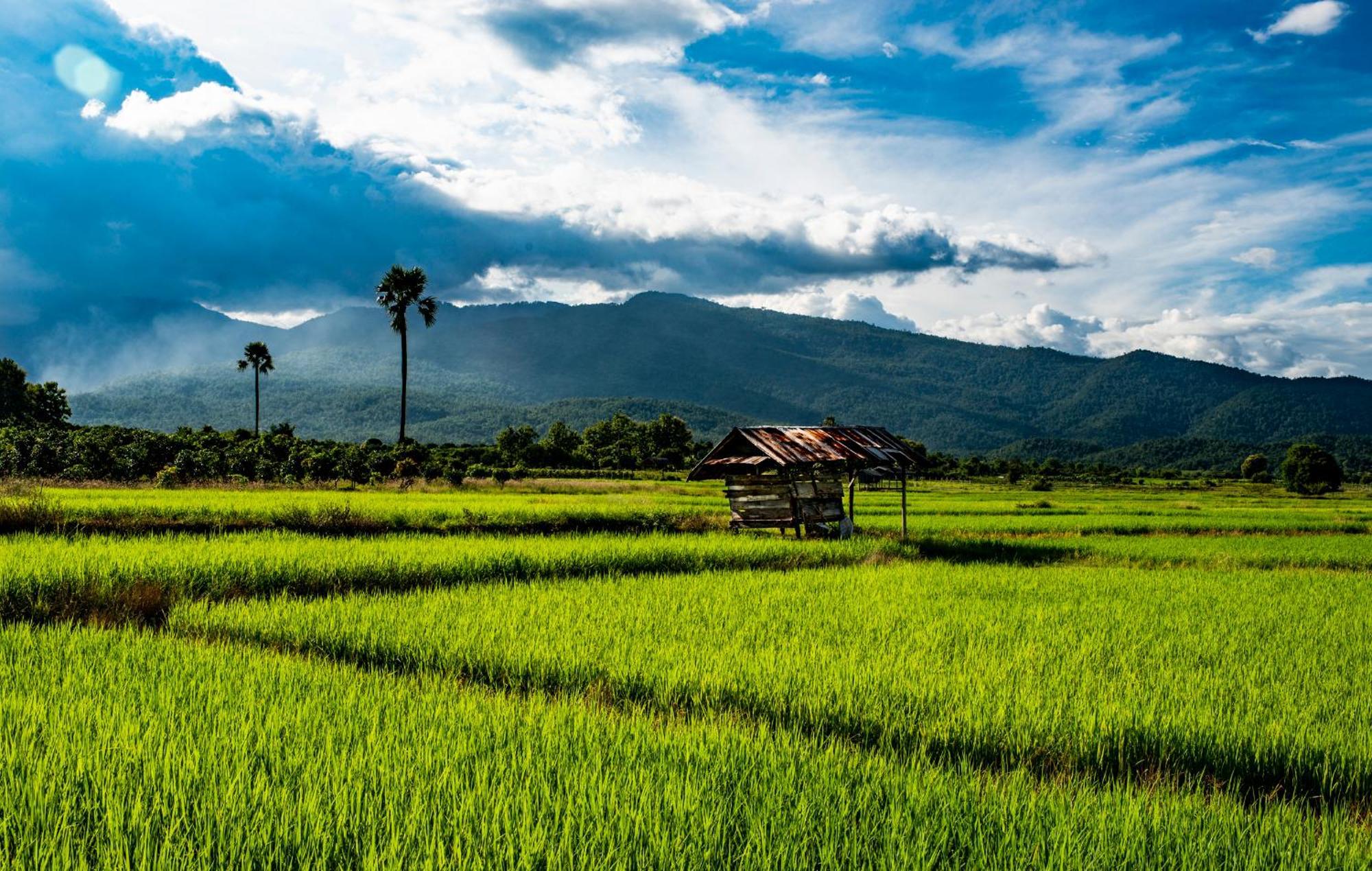 Suan Sook Homestay تشوم تونغ المظهر الخارجي الصورة