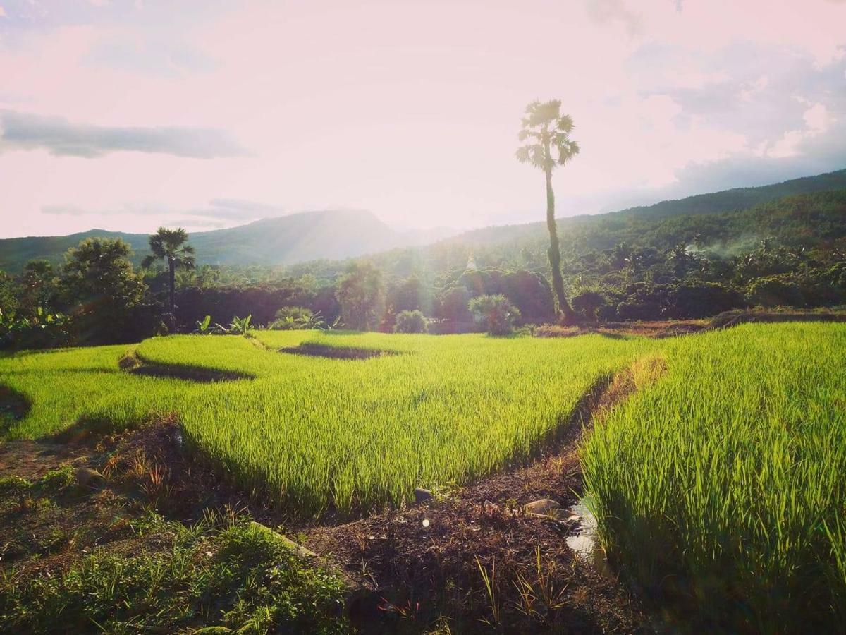 Suan Sook Homestay تشوم تونغ المظهر الخارجي الصورة